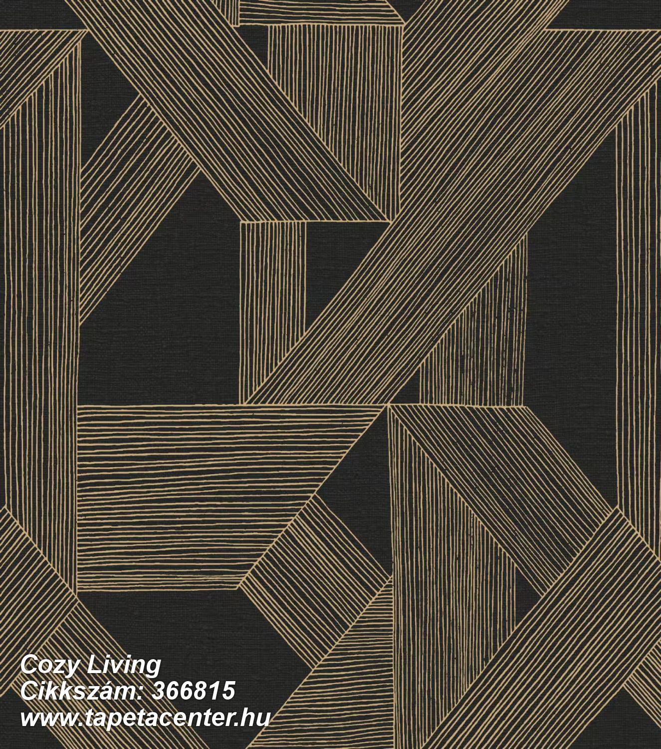 Geometriai mintás,barna,fekete,vlies poszter, fotótapéta 